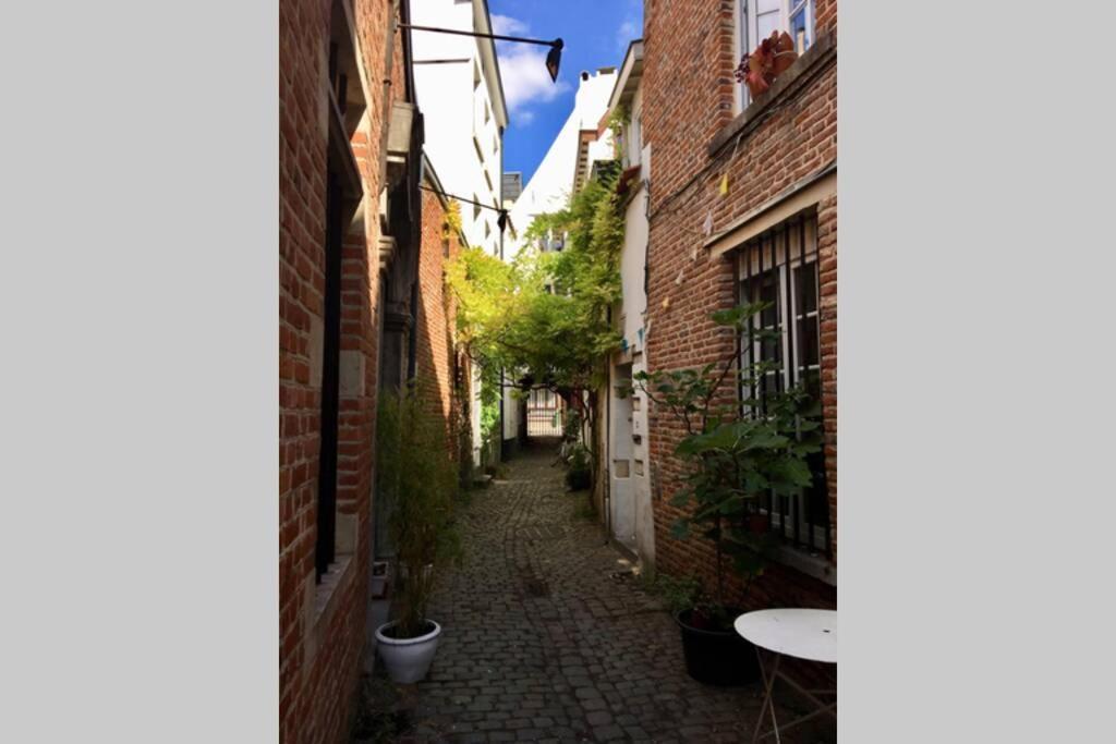 En Plein Coeur De Bruxelles. Superbe Duplex.A Voir! Exteriér fotografie