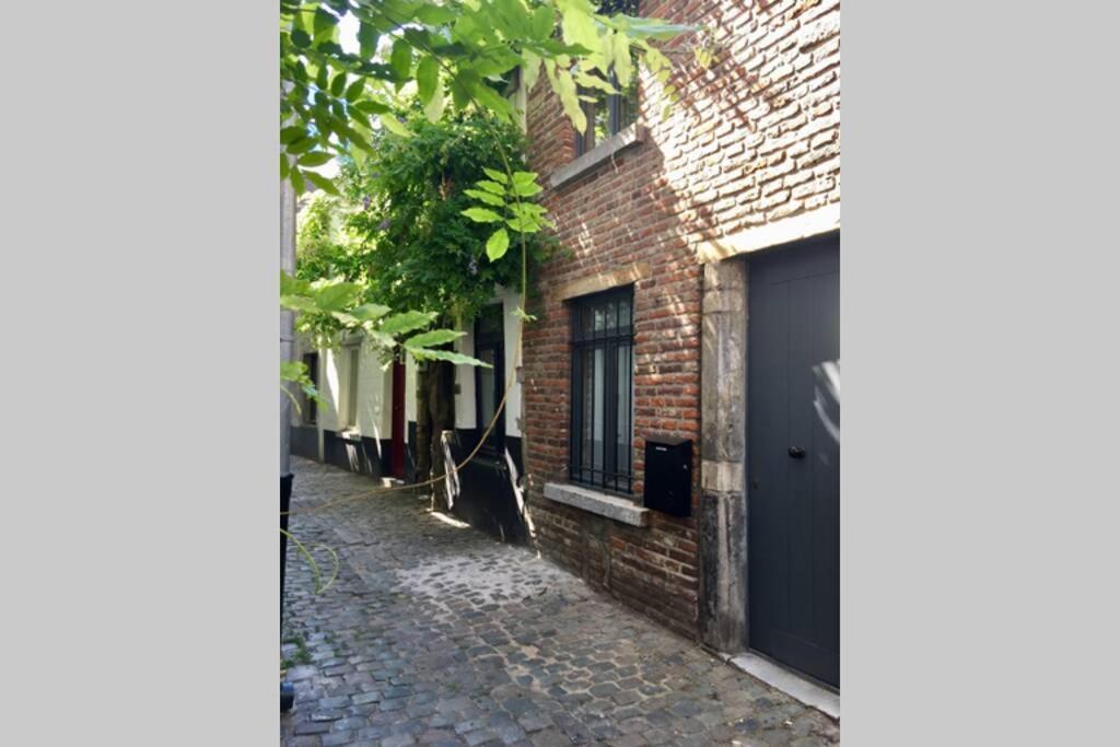 En Plein Coeur De Bruxelles. Superbe Duplex.A Voir! Exteriér fotografie